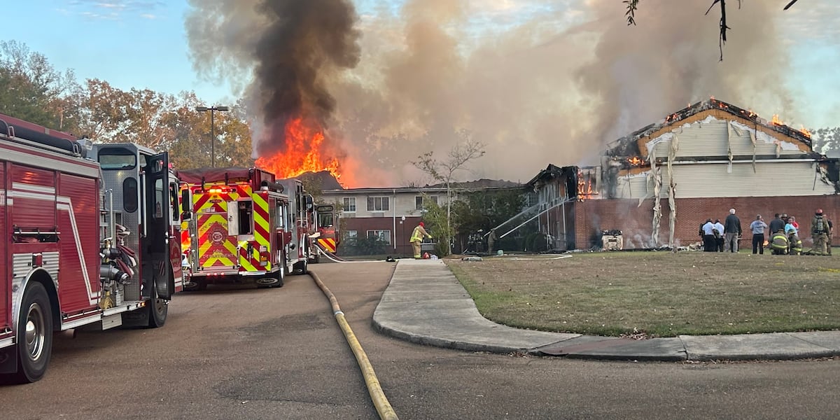 Gold Standard Fire Protection ‘Praying for everyone affected’: 2 dead following massive fire at ...