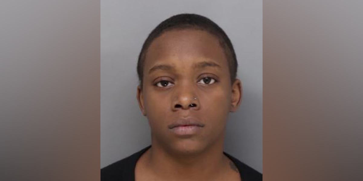 Woman Pleads Guilty To Charges In 2023 Kidnapping woman-pleads-guilty-to-charges-in-2023-kidnapping