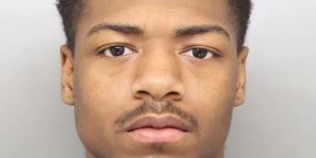 Uncle pleads guilty in death, injury of baby sisters