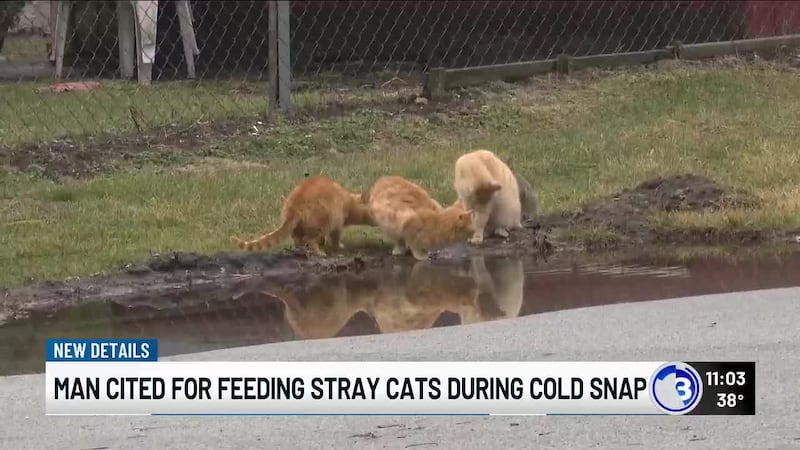 A Swanton man says he did not expect to be cited and face a judge after feeding stray cats...