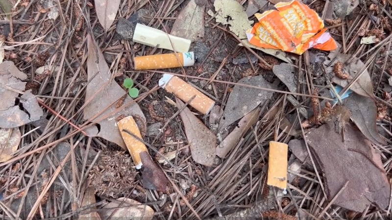 cigarette pollution Tobacco and the environment cigarette pollution Tobacco and the environment
