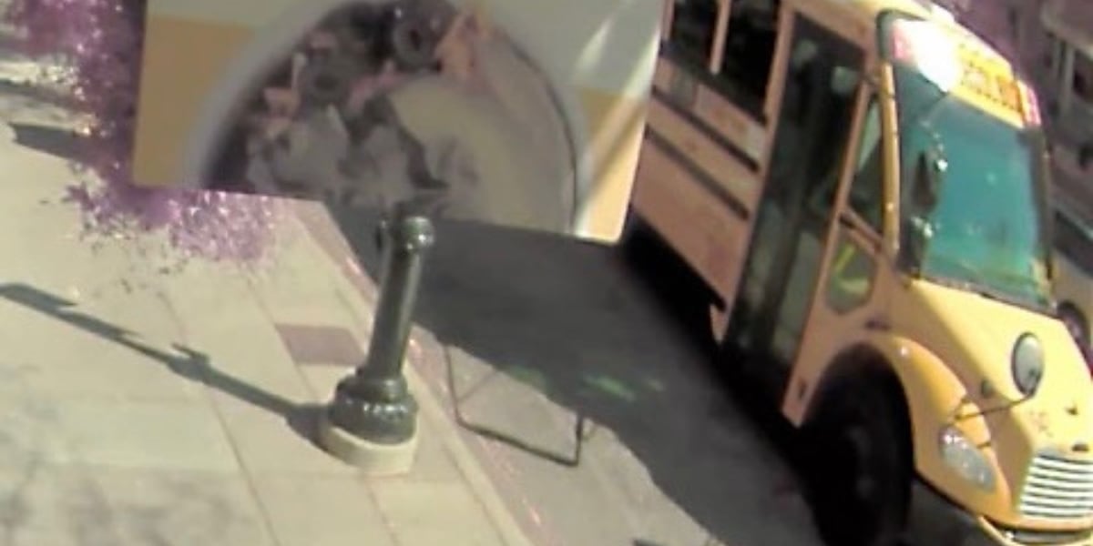 Woman looking for school bus involved in a hit-and-run in Clifton