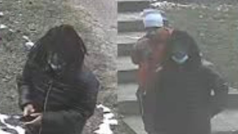 Police are asking for help identifying two suspects in a Cheviot arson case.