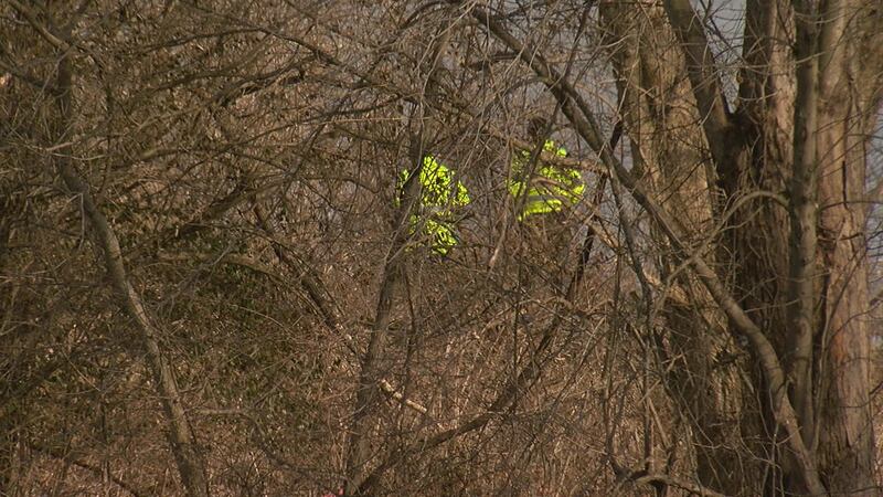 The Dearborn County Coroner says a private citizen found a foot in a
Reebok shoe on the...