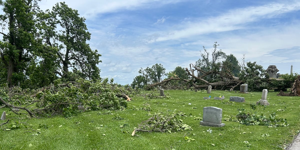 Williamstown Residents Rally Together Amidst Devastating Severe Weather Aftermath: A City in Crisis, A Community United