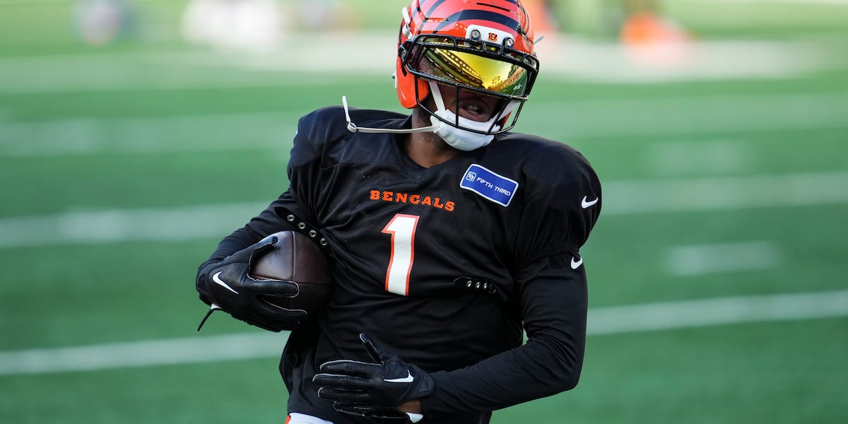 Bengals hosting Bears for joint practice