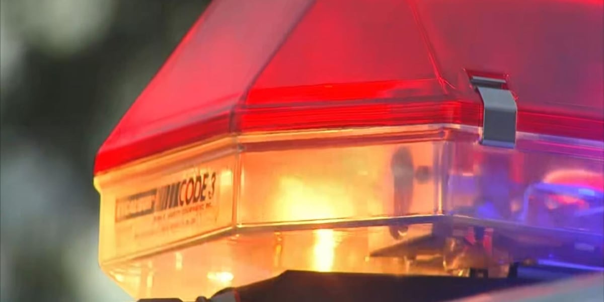 Driver killed in Goshen Township crash identified