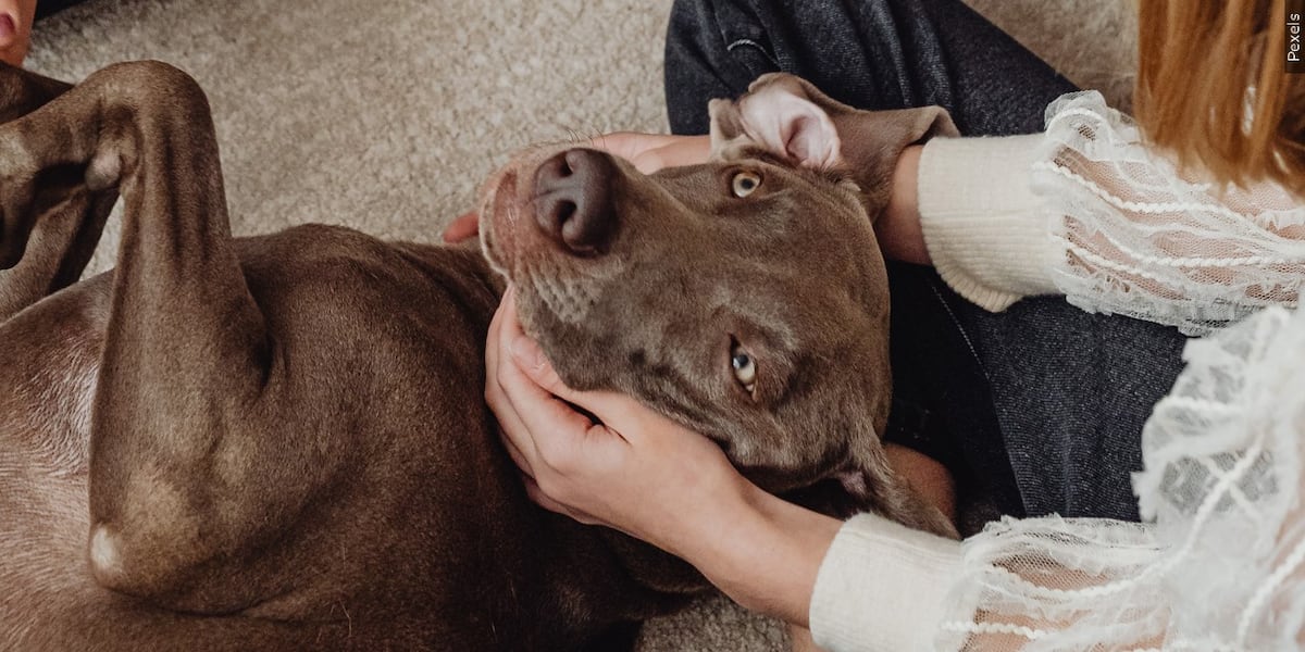 Brewing Locally Image