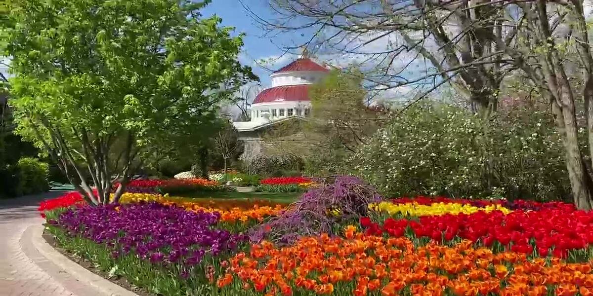 Spring In Cincinnati Cincinnati Zoo plans for colorful blooms this spring