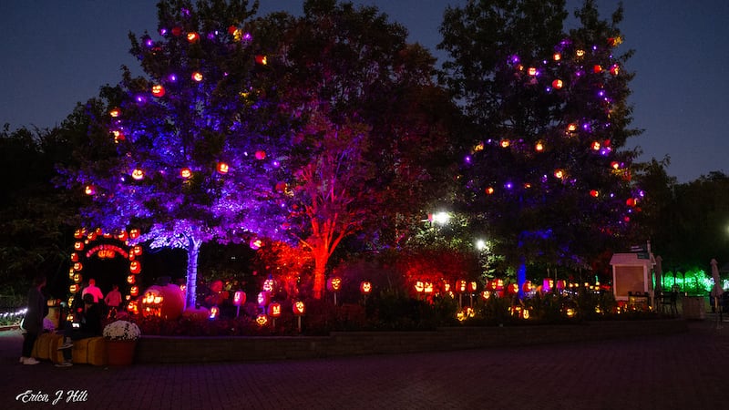 With 6,000 illuminated pumpkins, the Cincinnati Zoo says this is the largest show of its kind...
