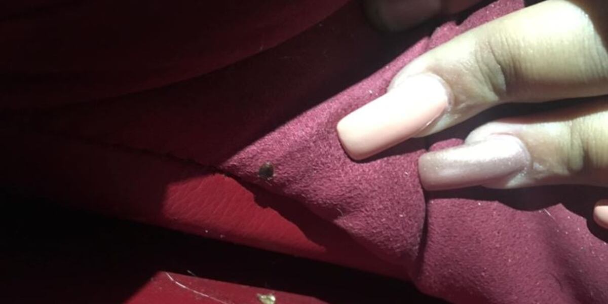 Health Dept No Bedbugs At Northgate Movie Theater health-dept-no-bedbugs-at-northgate-movie-theater