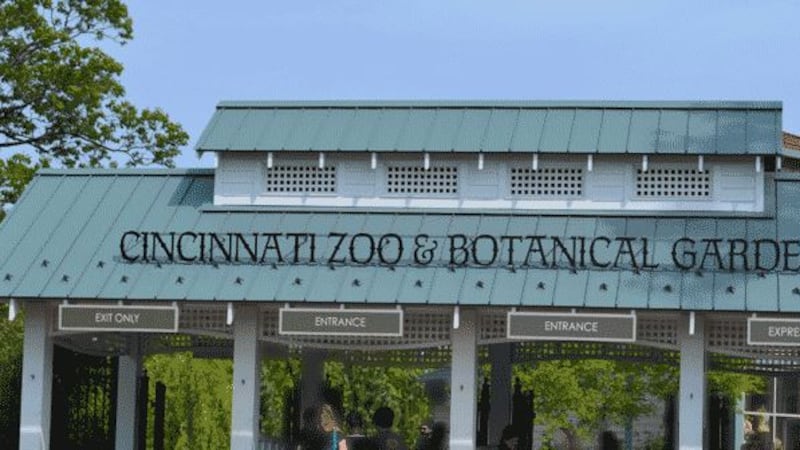 Country artists coming to Red White and Zoo