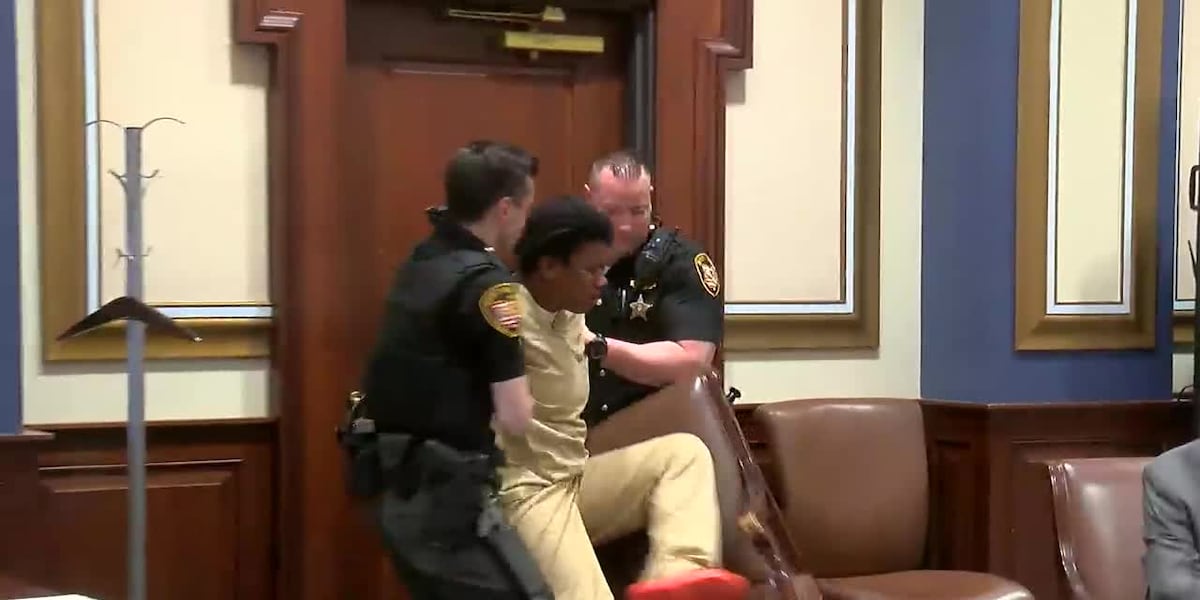 Suspect in wild police chase pleads guilty