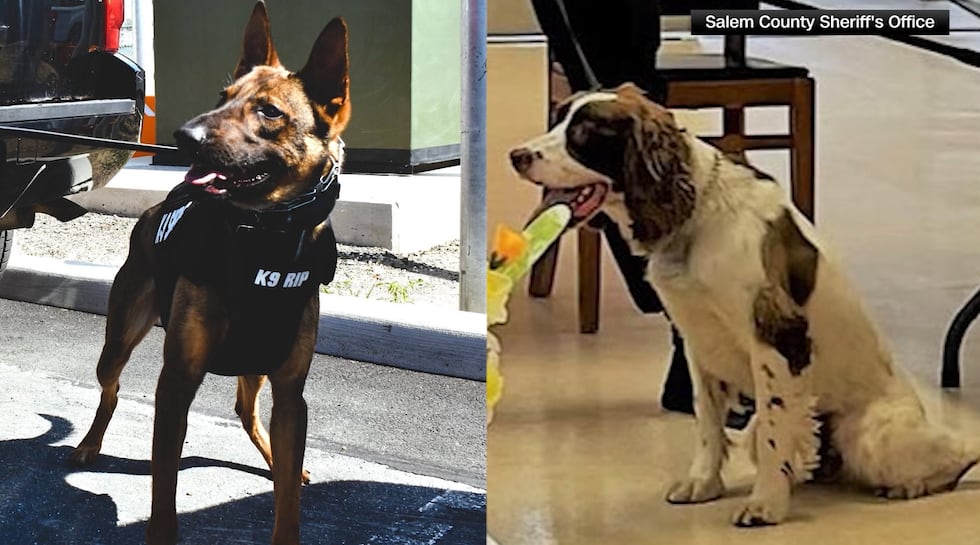 Officials said Cody Henderson left his two K-9s, Rip and Boomer, in a hot car for seven hours...