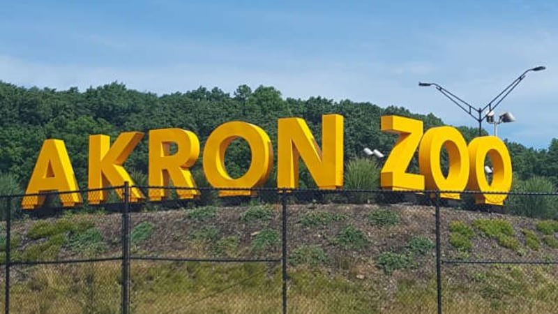 Akron Zoo (Source: WOIO)