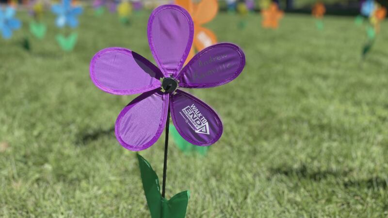 The annual Walk to End Alzheimer's was held at Sawyer Point Saturday.