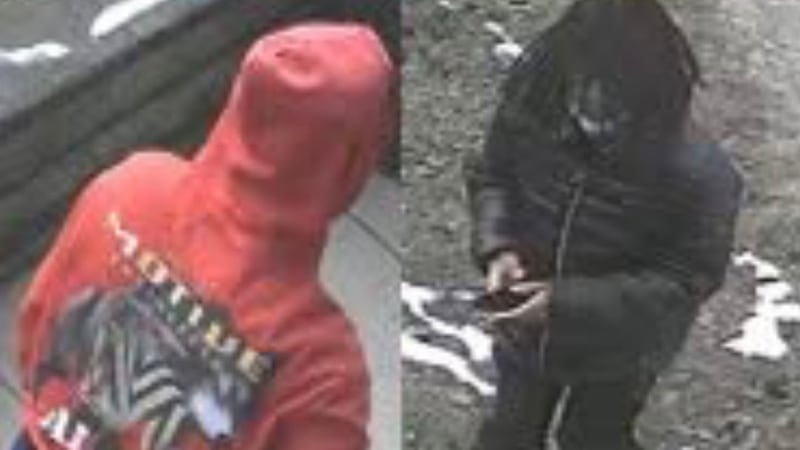 Police are asking for help identifying two suspects in a Cheviot arson case.