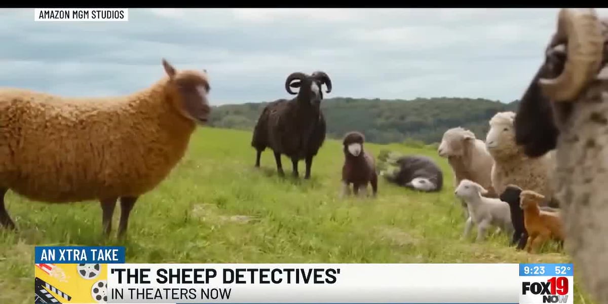 'The Sheep Detectives' in theaters now