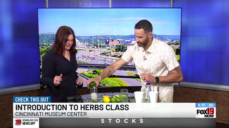Cincinnati Museum Center hosting Introduction to Herbs class