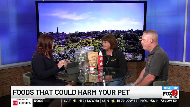 Owners of Pet Wants discuss which foods could harm your pet
