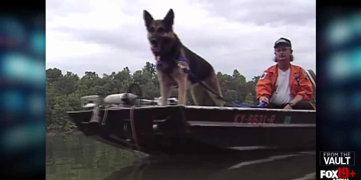 Grand Paws Search Dogs works to train canines for rescue missions
