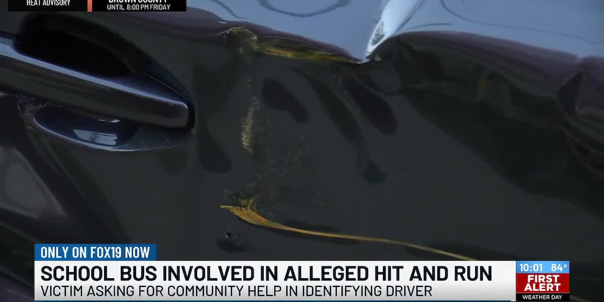 School bus involved in alleged hit and run