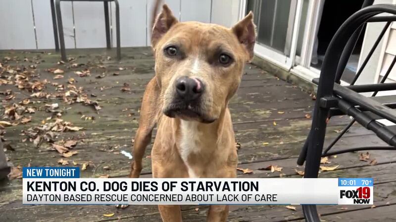 NKY animal rescue faces scrutiny after 2 dogs found malnourished, one dies