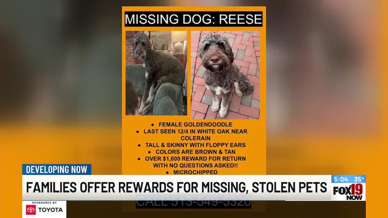 The holidays are prime time for animal thefts, but purebred dogs are specifically targeted due...